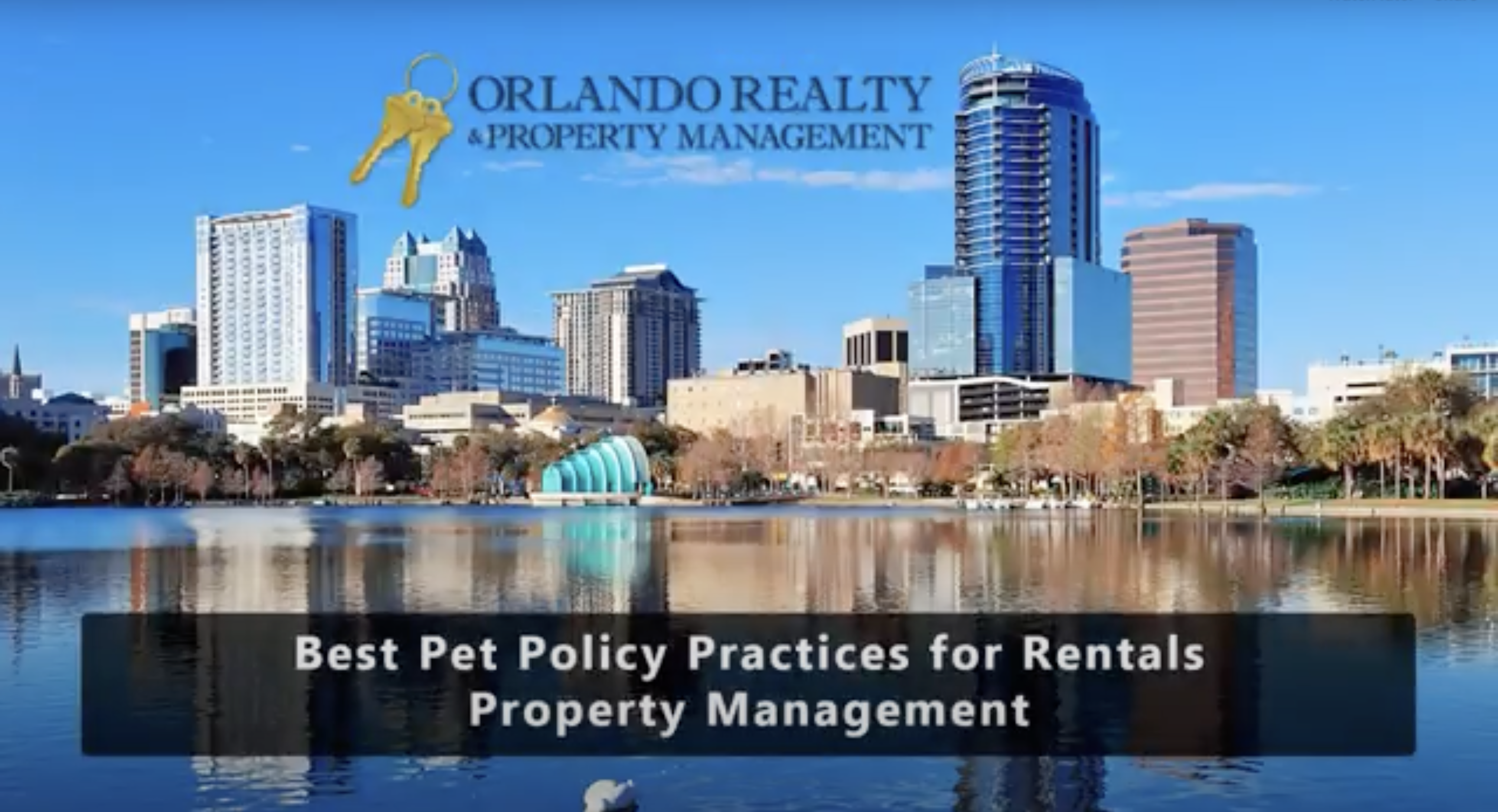 Best Pet Policy Practices for Rentals – Property Management Orlando